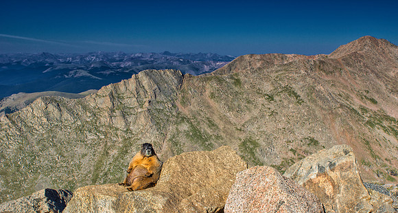 Marmot Scape-6166
